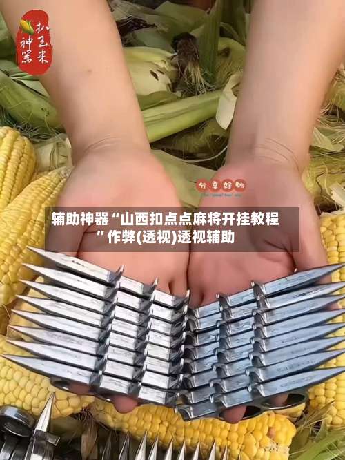 辅助神器“山西扣点点麻将开挂教程”作弊(透视)透视辅助-第1张图片