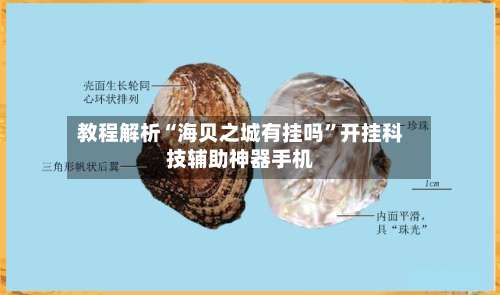 教程解析“海贝之城有挂吗	”开挂科技辅助神器手机-第1张图片