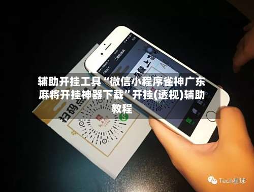 辅助开挂工具“微信小程序雀神广东麻将开挂神器下载	”开挂(透视)辅助教程-第1张图片