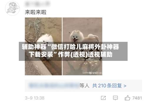 辅助神器“微信打哈儿麻将外卦神器下载安装”作弊(透视)透视辅助-第1张图片