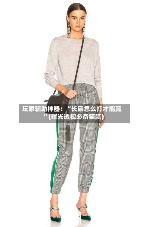 玩家辅助神器：“长麻怎么打才能赢”(曝光透视必备猫腻)-第1张图片