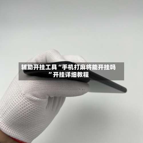 辅助开挂工具“手机打麻将能开挂吗”开挂详细教程-第3张图片