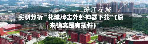 实测分析“花城牌舍外卦神器下载	”(原来确实是有插件)-第1张图片