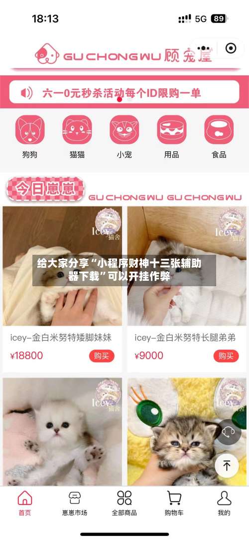 给大家分享“小程序财神十三张辅助器下载	”可以开挂作弊-第1张图片