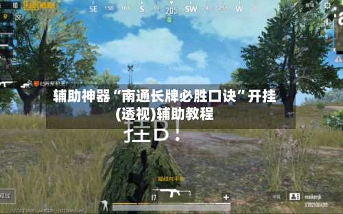 辅助神器“南通长牌必胜口诀”开挂(透视)辅助教程-第3张图片