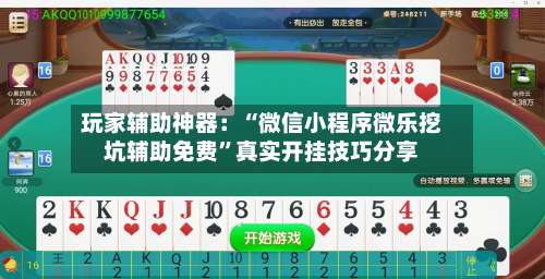 玩家辅助神器：“微信小程序微乐挖坑辅助免费”真实开挂技巧分享-第1张图片