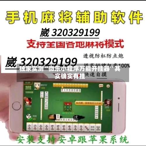 独家实测“微乐小程序万能开挂器”其实确实有挂-第2张图片