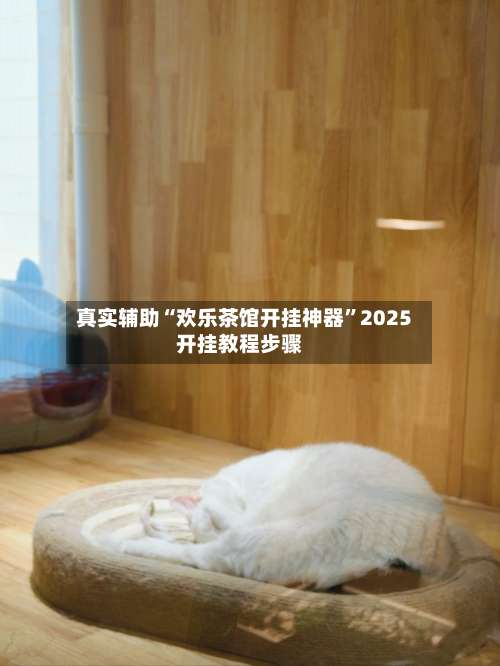 真实辅助“欢乐茶馆开挂神器	”2025开挂教程步骤-第3张图片