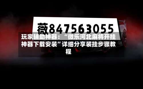 玩家辅助神器：“微乐河北麻将开挂神器下载安装”详细分享装挂步骤教程-第3张图片