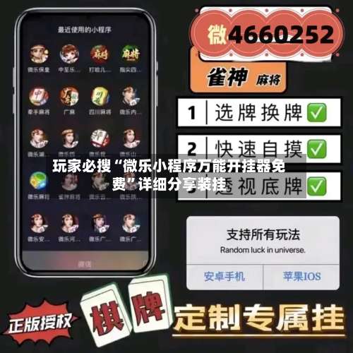 玩家必搜“微乐小程序万能开挂器免费”详细分享装挂-第3张图片