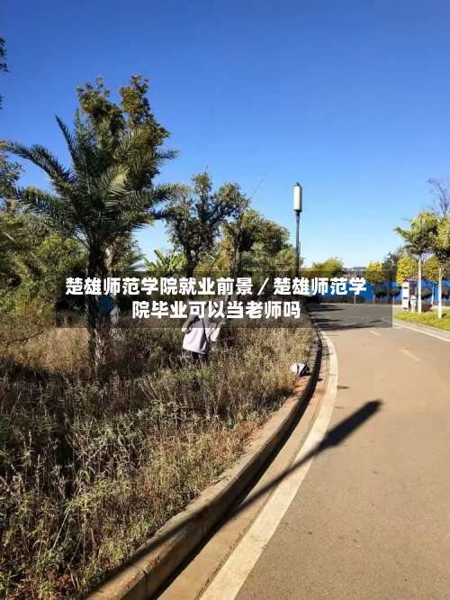 楚雄师范学院就业前景／楚雄师范学院毕业可以当老师吗-第2张图片