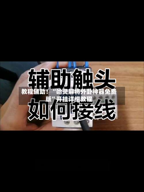 教程辅助！“哈灵麻将外卦神器免费版”开挂详细教程-第1张图片