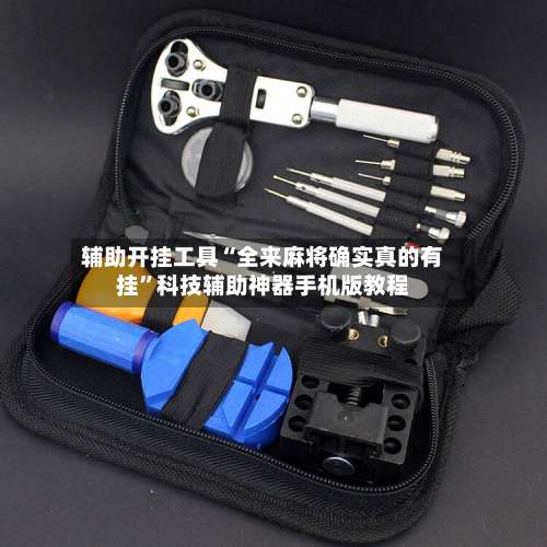 辅助开挂工具“全来麻将确实真的有挂	”科技辅助神器手机版教程-第2张图片