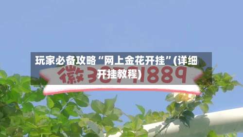 玩家必备攻略“网上金花开挂	”(详细开挂教程)-第1张图片