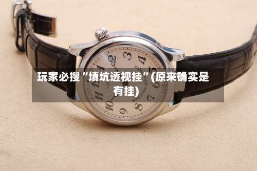 玩家必搜“填坑透视挂	”(原来确实是有挂)-第1张图片