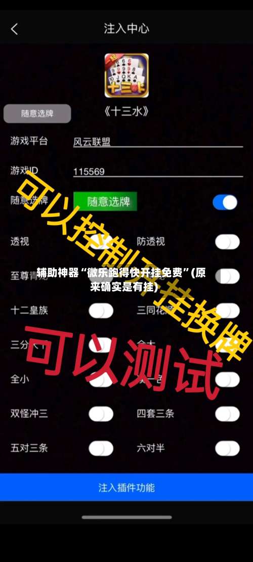 辅助神器“微乐跑得快开挂免费”(原来确实是有挂)-第3张图片