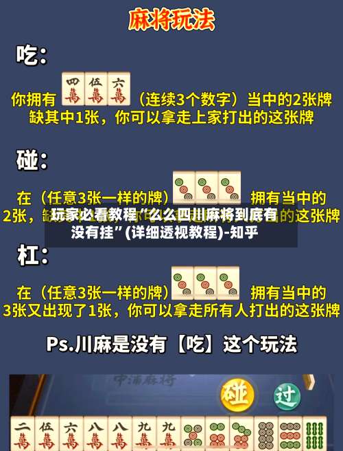 玩家必看教程“么么四川麻将到底有没有挂”(详细透视教程)-知乎-第3张图片