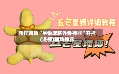 教程辅助“星悦麻将外卦神器	”开挂(透视)辅助神器-第3张图片