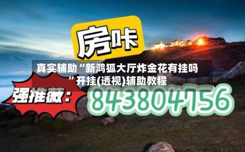 真实辅助“新鸿狐大厅炸金花有挂吗”开挂(透视)辅助教程-第2张图片