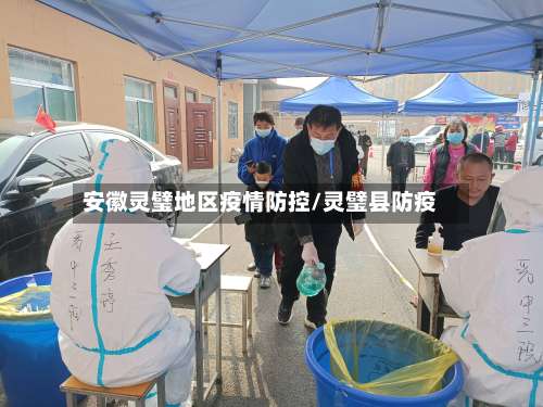 安徽灵璧地区疫情防控/灵璧县防疫-第1张图片