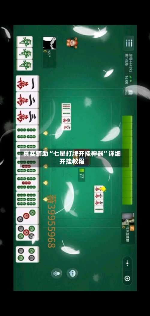 真实辅助“七星打牌开挂神器”详细开挂教程-第2张图片