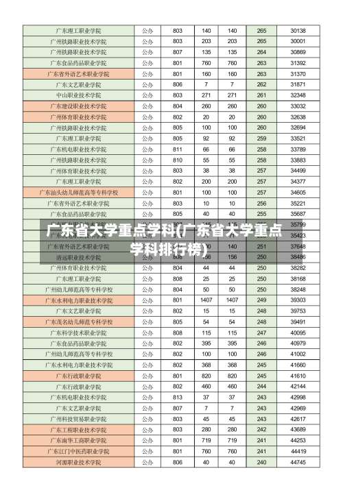 广东省大学重点学科(广东省大学重点学科排行榜)-第3张图片