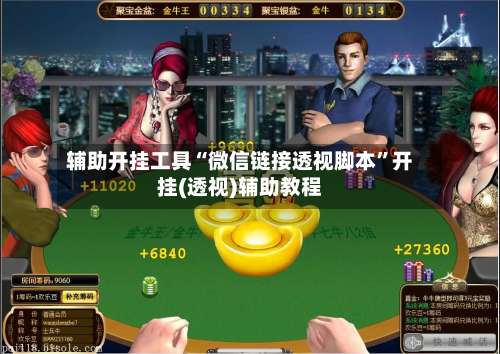 辅助开挂工具“微信链接透视脚本”开挂(透视)辅助教程-第3张图片