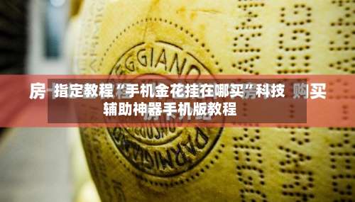 指定教程“手机金花挂在哪买”科技辅助神器手机版教程-第2张图片
