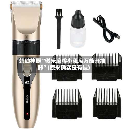辅助神器“微乐麻将小程序万能开挂器	”(原来确实是有挂)-第3张图片