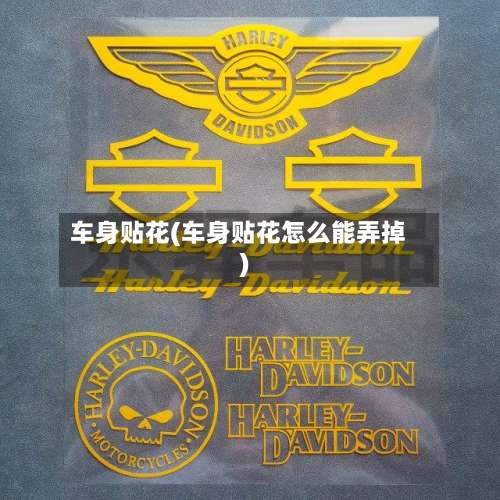 车身贴花(车身贴花怎么能弄掉)-第1张图片