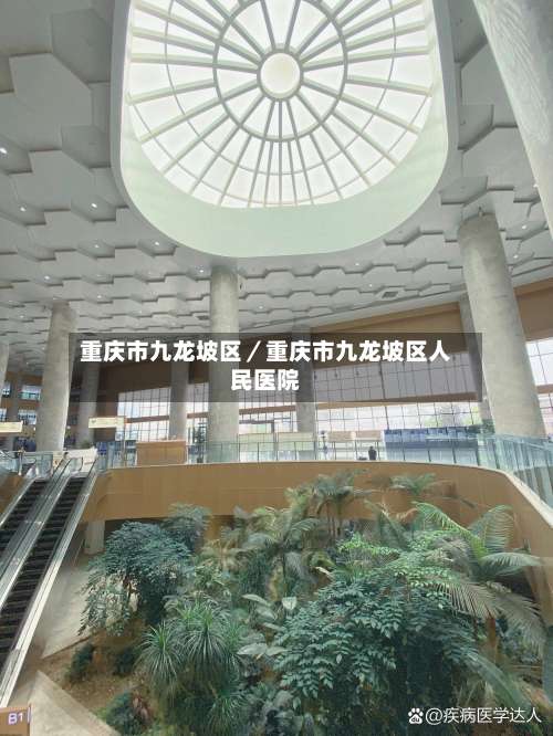 重庆市九龙坡区／重庆市九龙坡区人民医院-第1张图片