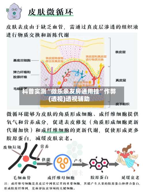 科普实测“微乐亲友房通用挂”作弊(透视)透视辅助-第3张图片
