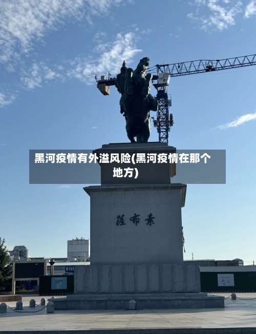 黑河疫情有外溢风险(黑河疫情在那个地方)-第1张图片