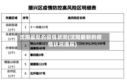 沈阳最新的疫情状况(沈阳最新的疫情状况通报)-第1张图片
