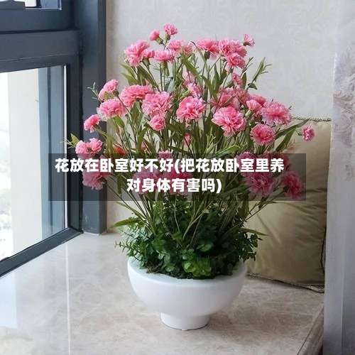 花放在卧室好不好(把花放卧室里养对身体有害吗)-第3张图片