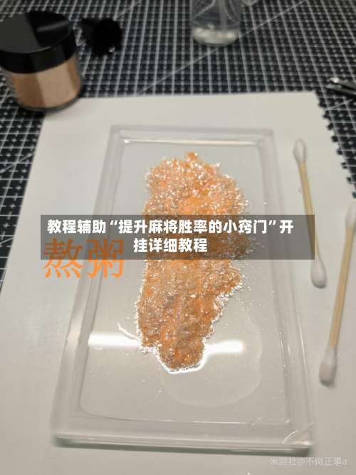 教程辅助“提升麻将胜率的小窍门”开挂详细教程-第1张图片