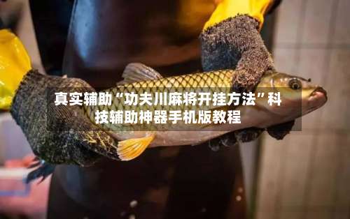 真实辅助“功夫川麻将开挂方法”科技辅助神器手机版教程-第2张图片