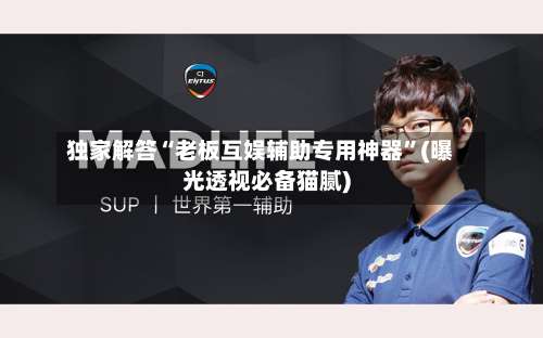 独家解答“老板互娱辅助专用神器”(曝光透视必备猫腻)-第1张图片
