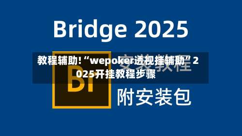 教程辅助!“wepoker透视挂辅助”2025开挂教程步骤-第1张图片