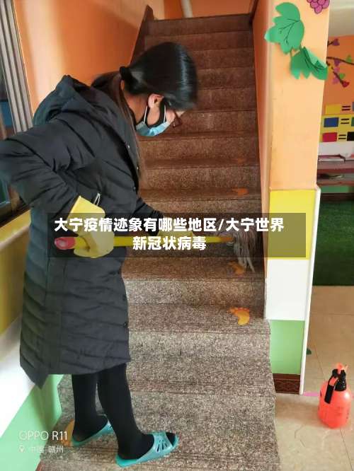 大宁疫情迹象有哪些地区/大宁世界新冠状病毒-第2张图片