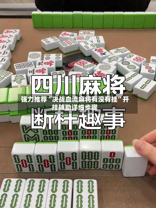 强力推荐“决战血流麻将有没有挂”开挂辅助详细步骤-第3张图片