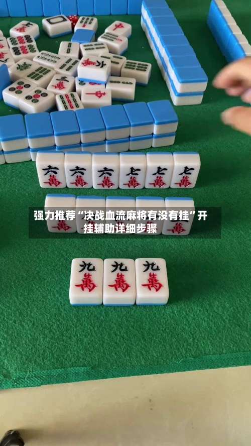 强力推荐“决战血流麻将有没有挂”开挂辅助详细步骤-第1张图片