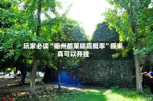 玩家必读“衢州都莱输赢概率”原来真可以开挂-第2张图片