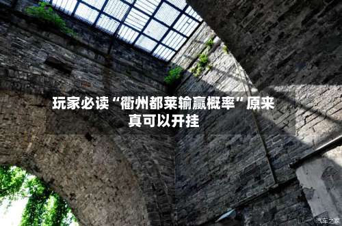 玩家必读“衢州都莱输赢概率”原来真可以开挂-第3张图片