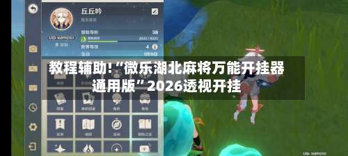 教程辅助!“微乐湖北麻将万能开挂器通用版”2026透视开挂-第1张图片