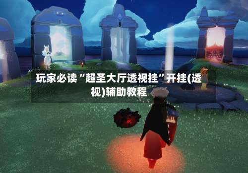 玩家必读“超圣大厅透视挂”开挂(透视)辅助教程-第3张图片