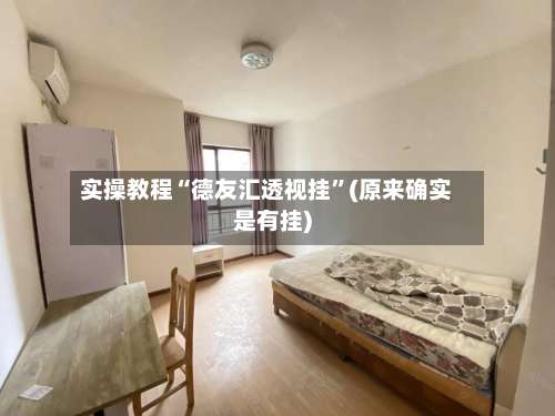 实操教程“德友汇透视挂	”(原来确实是有挂)-第2张图片