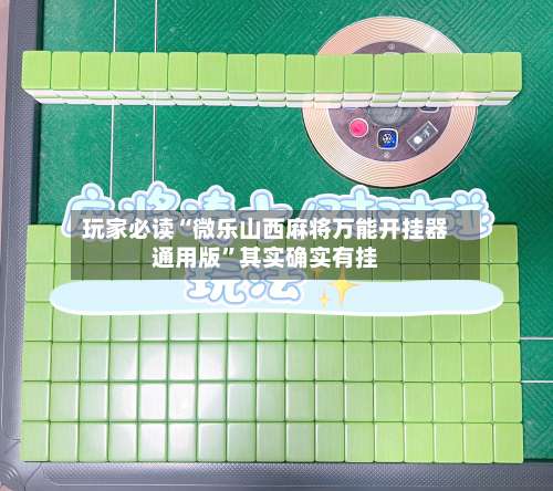 玩家必读“微乐山西麻将万能开挂器通用版”其实确实有挂-第2张图片