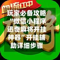 玩家必备攻略“微信小程序迅奇麻将开挂神器	”开挂辅助详细步骤-第2张图片
