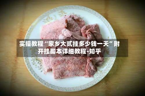 实操教程“家乡大贰挂多少钱一天”附开挂脚本详细教程-知乎-第1张图片